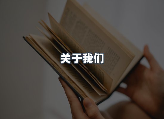 专业团队